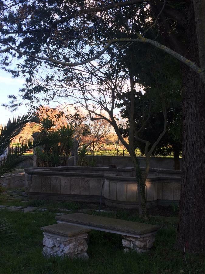 Villa L'Ottagono Con Cucina Parcheggio Privato Telecamerizzato E Wifi Gioia Del Colle Exterior foto